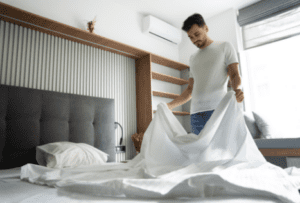 bed bugs control