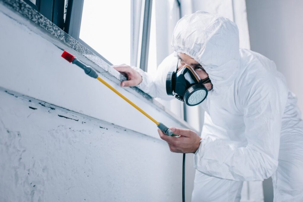 Home Pest Control in Melbourne