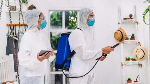 Trident Pest Control