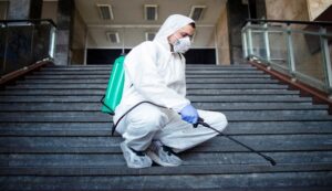 rodent pest control in melbourne