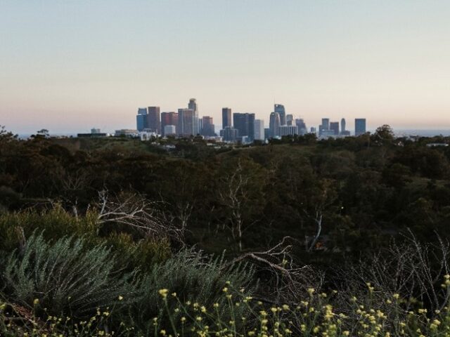 Why Tarneit’s Rapid Growth Is Creating a Surge in Pest Activity