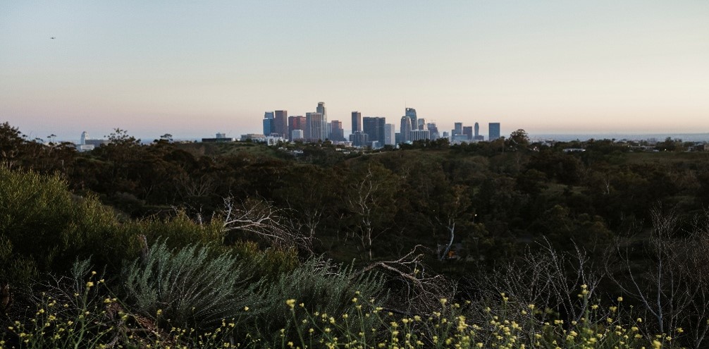 tarneit rapid growth in melbourne